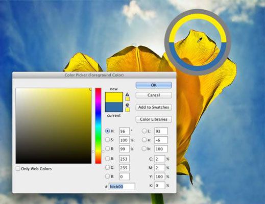 Utilisez le sélecteur de couleurs pour définir les couleurs avec précision. La Pipette's Sampling Ring is visib