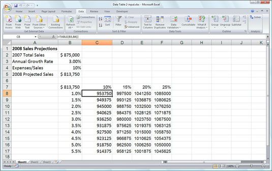 Photographie - Jouer what-if avec les tableaux de données de Excel 2007