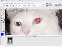 Suppression des yeux rouges d'une photo numérique avec des éléments de Adobe Photoshop