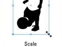 Objets d'échelle dans Creative Suite 5 indesign