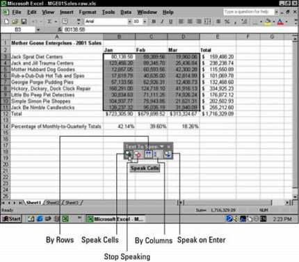 Photographie - Abattage des erreurs avec la synthèse vocale dans Excel 2002