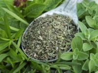 Dix épices et herbes stimuler le système immunitaire