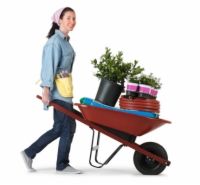 Dix outils pour jardiniers urbains