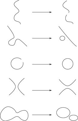 Cordes de type I peuvent passer par cinq interactions fondamentales, sur la base de différentes façons de rejoindre et