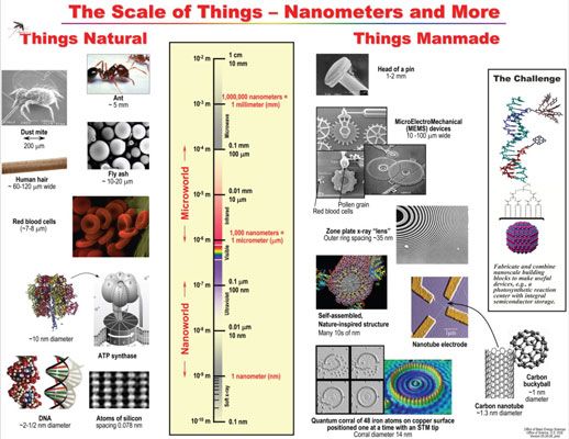 Structure de certaines nanoparticules clés (telles que la molécule d'ADN en bas à gauche) et dans leur taille