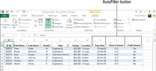 Photographie - La fonction Excel 2013 autofilter