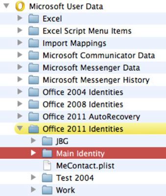 Photographie - Travailler avec les identités Outlook dans Office 2011 pour Mac