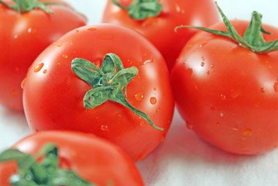 Les gouttelettes d'eau sur les tomates aident leur donner un aspect frais. [Crédit: Longueur focale: 55mm, vitesse d'obturation: 1