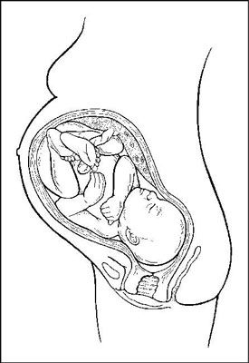 Votre bébé's growth during the third trimester